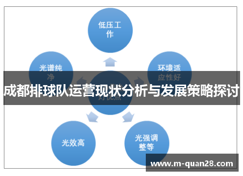 成都排球队运营现状分析与发展策略探讨