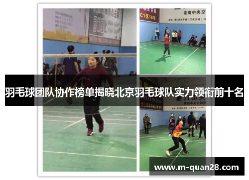 羽毛球团队协作榜单揭晓北京羽毛球队实力领衔前十名